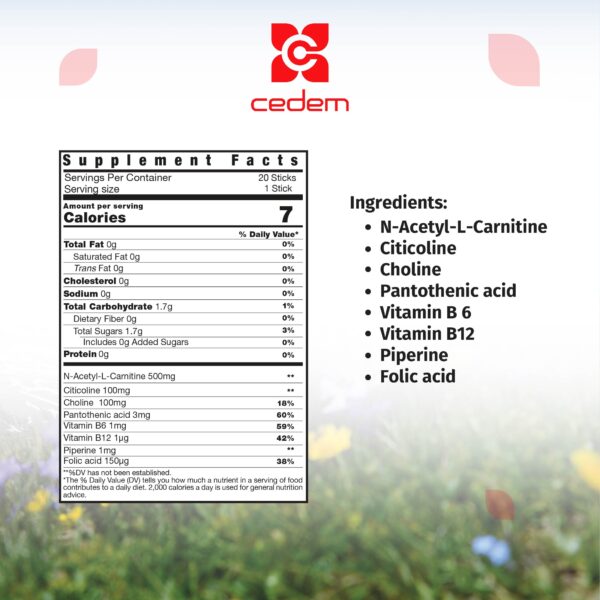 Ingredients for BRAINOMAX: N-Acetyl-L-Carnitine, Citicoline, Choline, B vitamins, gluten-free and lactose-free - Cedem AG