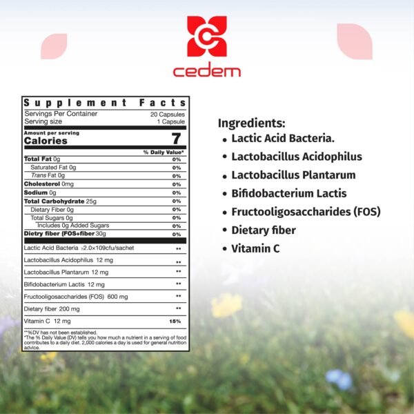 Active ingredients of DEFENSES PROBIOTICS: Lactic Acid Bacteria, Fiber, and Vitamins, vegan and lactose-free, by Cedem AG.